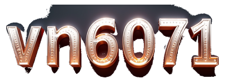 vn6071 logo